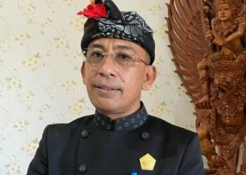 I Wayan Disel Astawa