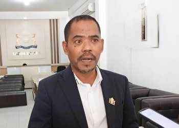 Direktur Eksekutif Kadin Sultra, Budi Amin