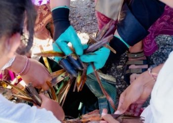 Pemuda Adat Besakih Sulap Sampah Canang Jadi Kompos