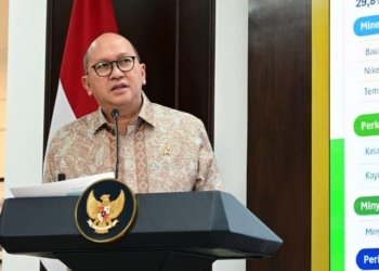 CEO Danantara, Rosan Perkasa Roeslani