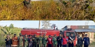 Damkar dibantu Masyarakat Berhasil Padamkan Kebakaran Lahan di Nanga-Nanga Kendari